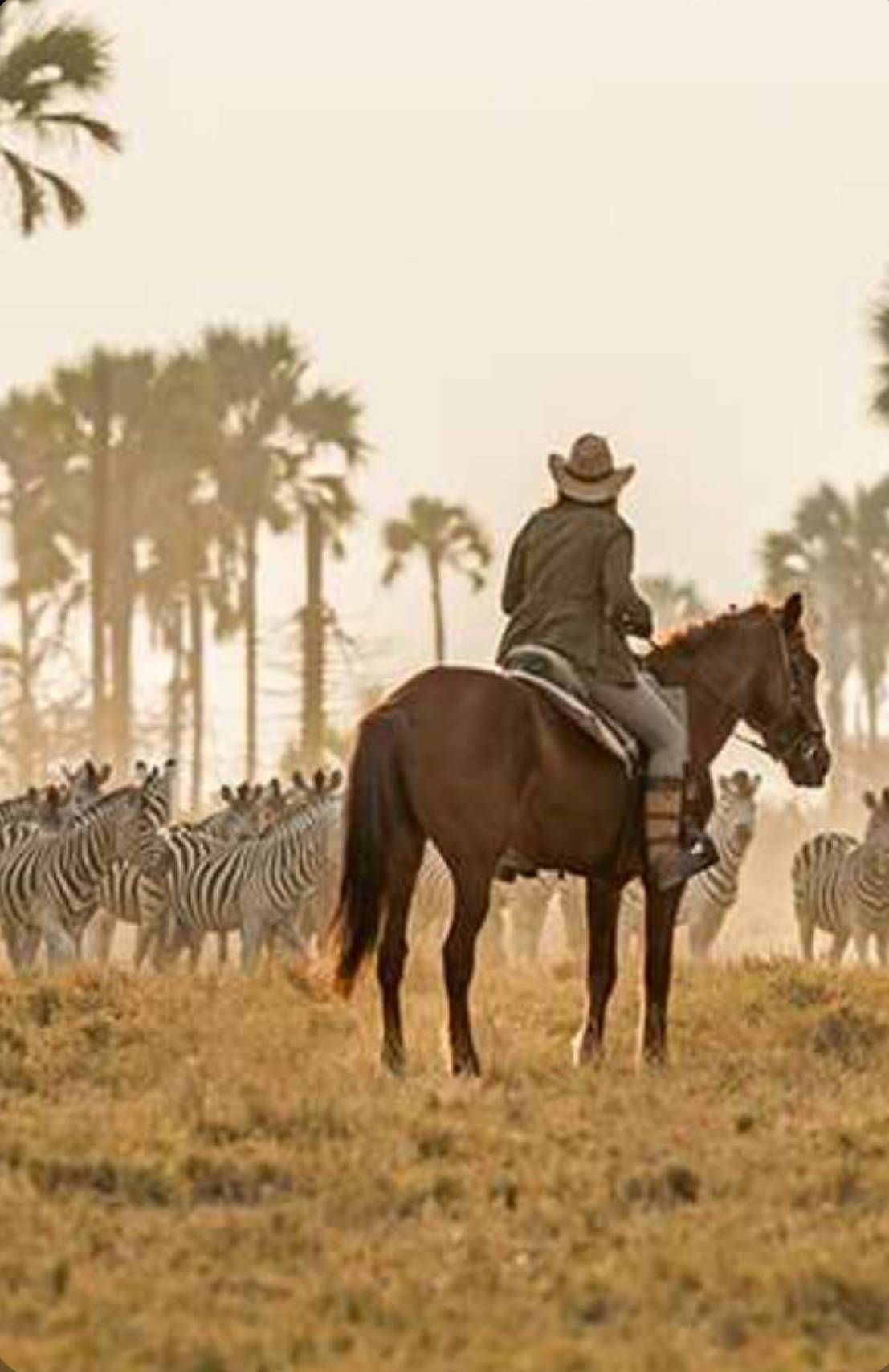 YOU’RE INVITED: HORSEBACK SAFARI TRIP TO ZAMBIA