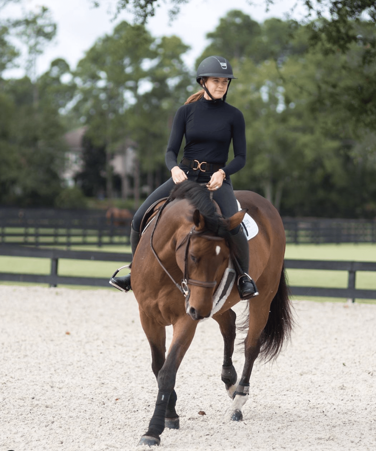 Tips For A Relaxed Walk With Contact – My Equestrian Style