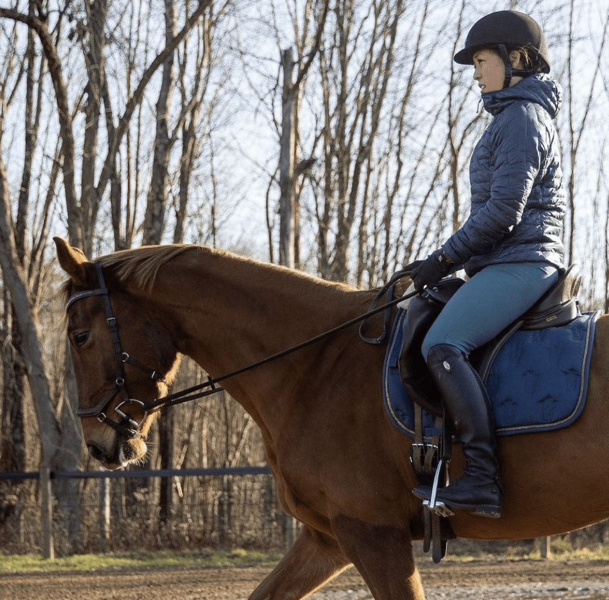 How Dr. Sam Fielding Teaches Feel My Equestrian Style