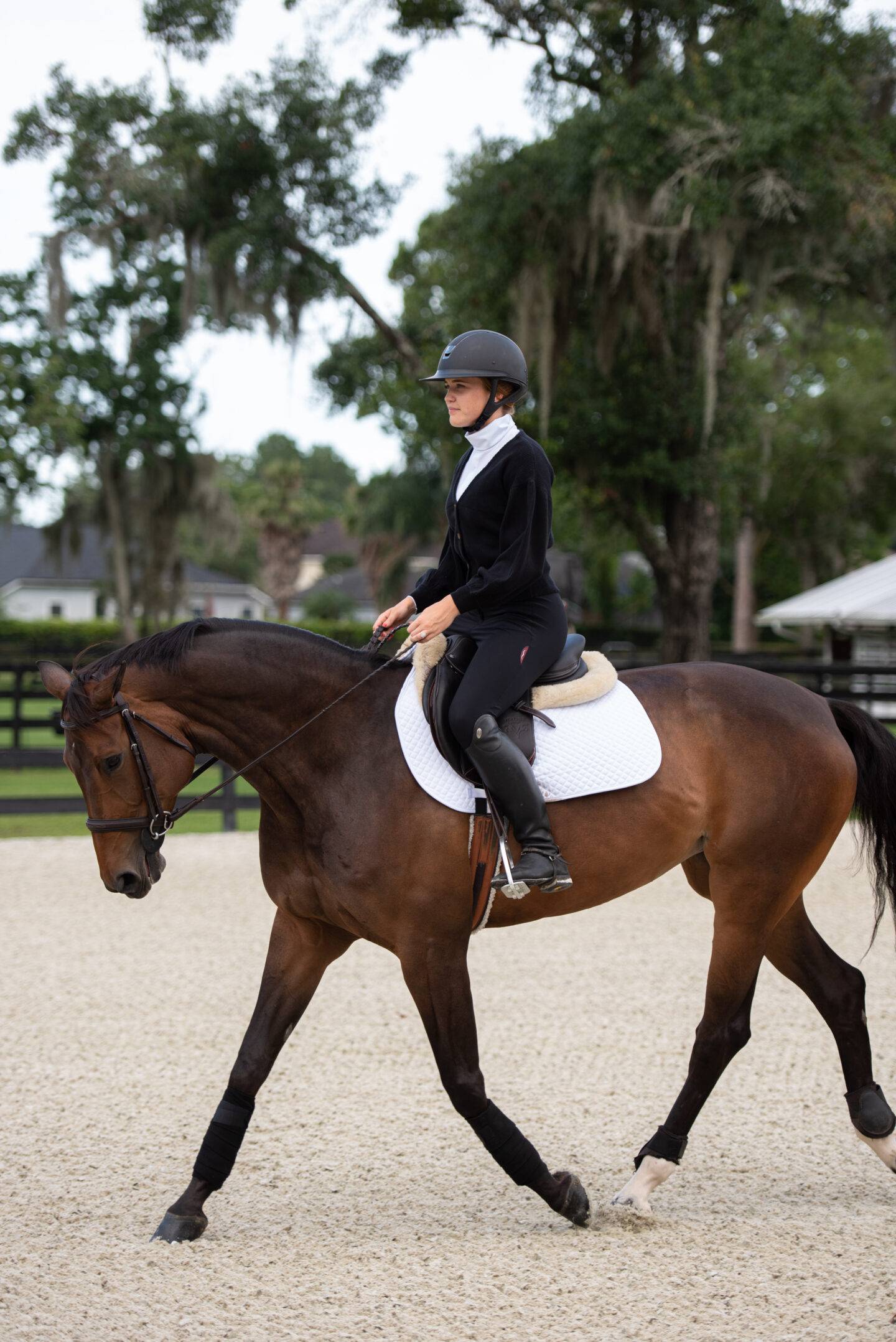 Always A Solid Choice – My Equestrian Style